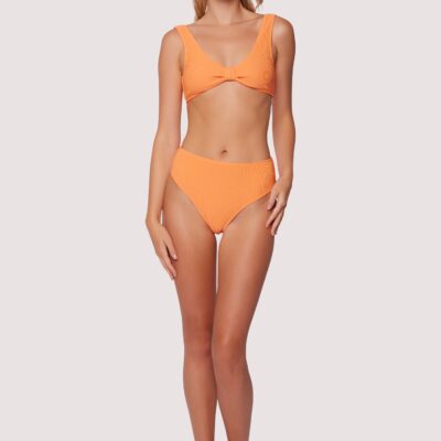 Sun Kissed High Waist Bikini Bottom